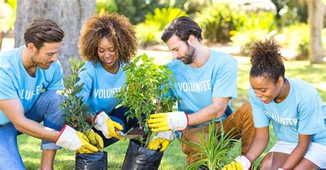 local volunteer events.